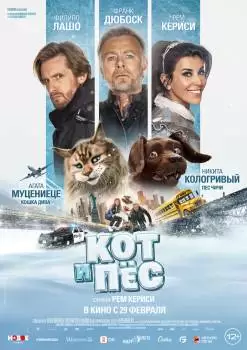 Кот и пёс